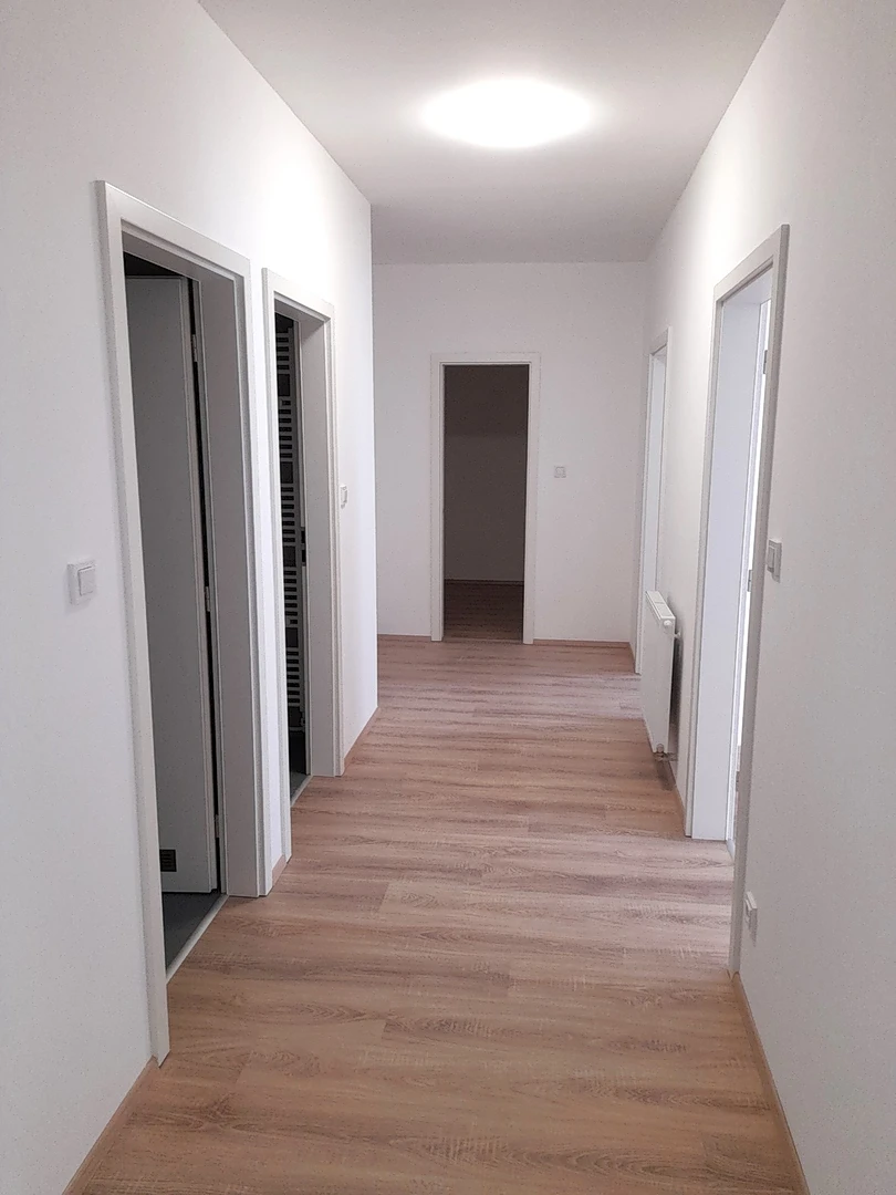 perseus-d4.1.01-interier-9